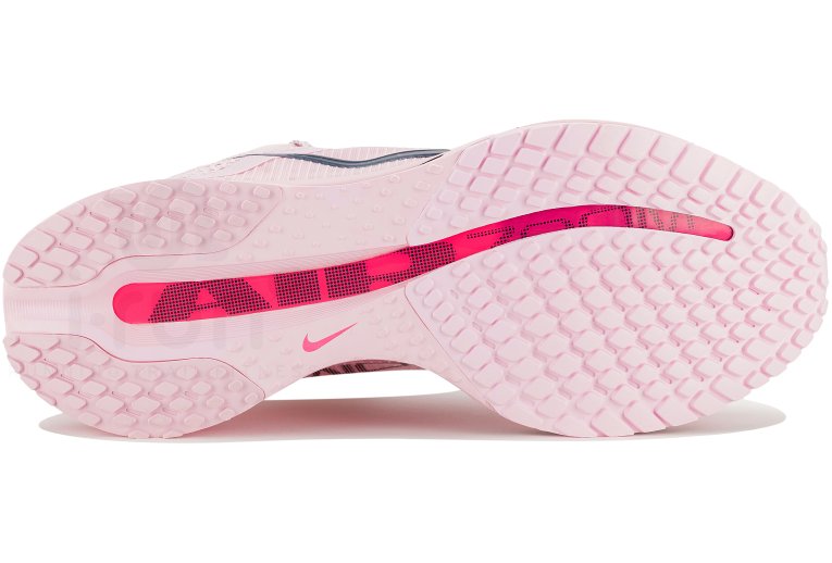Nike Pegasus Premium