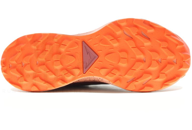 Nike Pegasus Trail 2