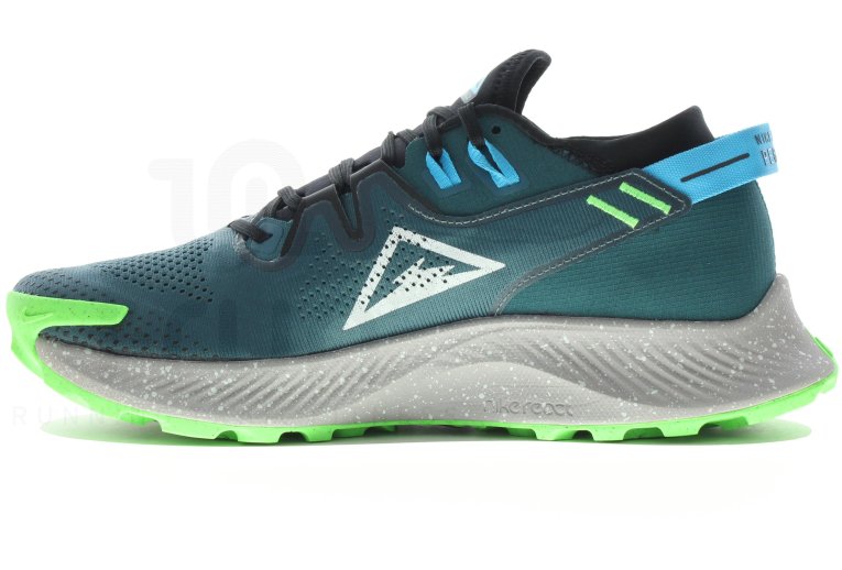 Nike Pegasus Trail 2