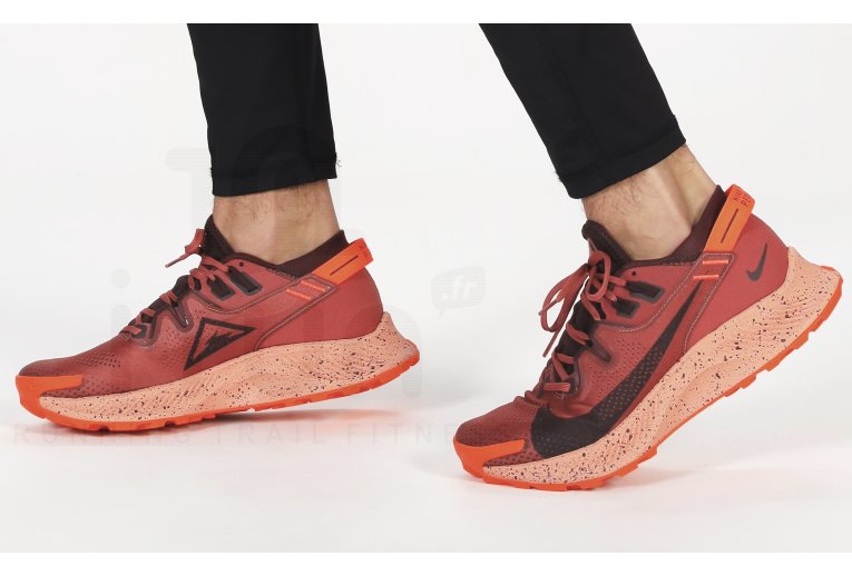 Nike Pegasus Trail 2