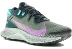 Nike Pegasus Trail 2