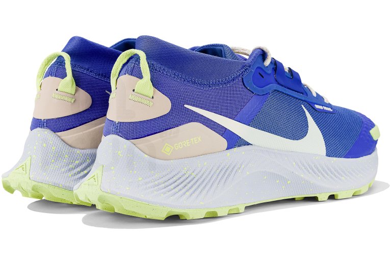 Nike Pegasus Trail 3 Gore-Tex