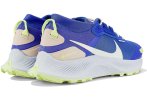 Nike Pegasus Trail 3 Gore-Tex