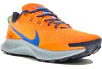 Nike Pegasus Trail 3 Herren