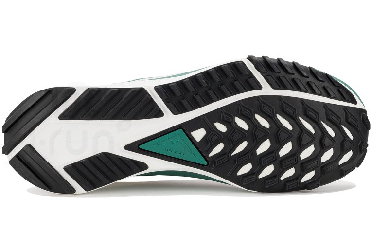 Nike Pegasus Trail 4 Gore-Tex