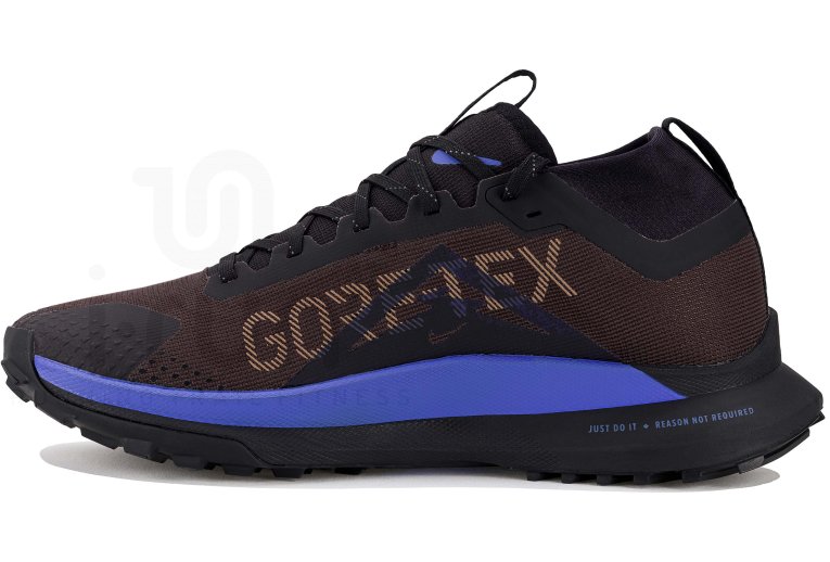 Nike Pegasus Trail 4 Gore-Tex Herren