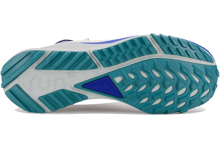 Nike Pegasus Trail 4 Gore-Tex Herren