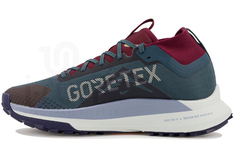 Nike Pegasus Trail 4 Gore-Tex
