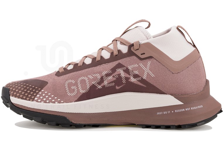 Nike Pegasus Trail 4 Gore-Tex