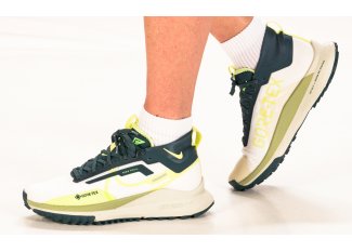 Nike Pegasus Trail 4 Gore-Tex W