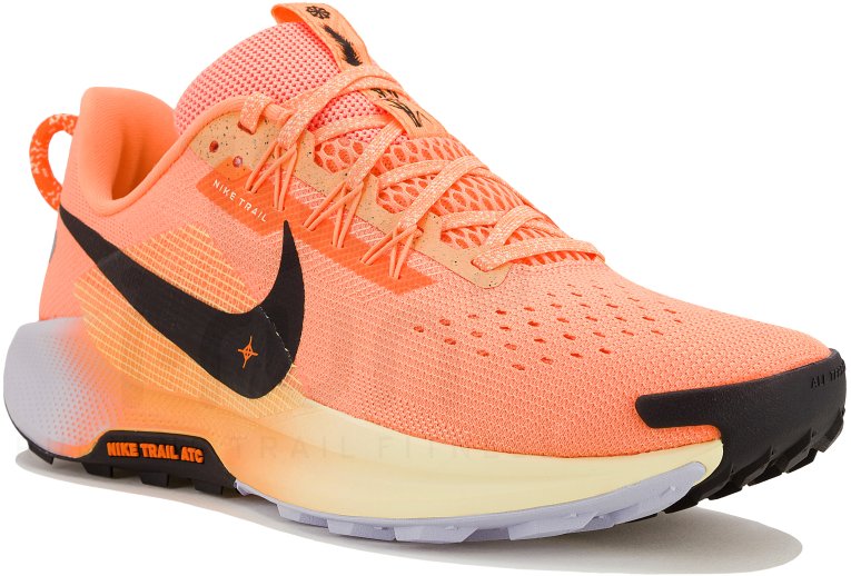 Nike Pegasus Trail 5