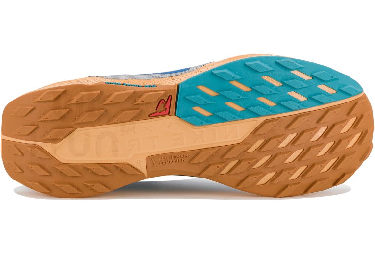 Nike Pegasus Trail 5 Gore-Tex