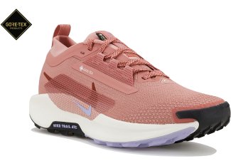 Nike Pegasus Trail 5 Gore-Tex W