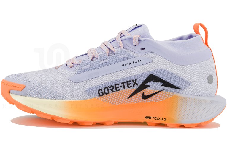 Nike Pegasus Trail 5 Gore-Tex