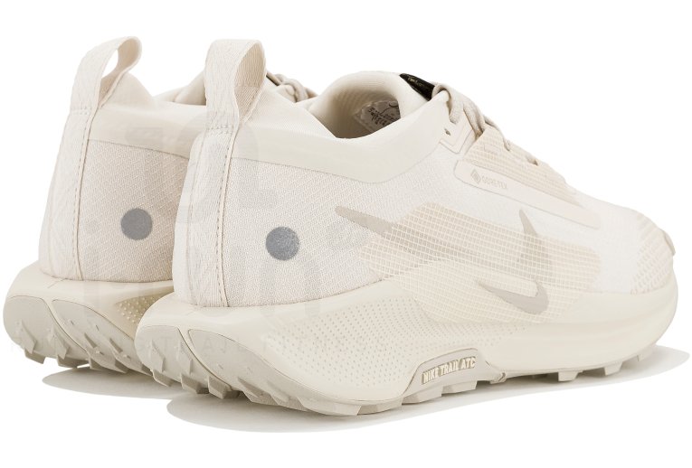 Nike Pegasus Trail 5 Gore-Tex