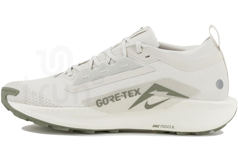 Nike Pegasus Trail 5 Gore-Tex Herren