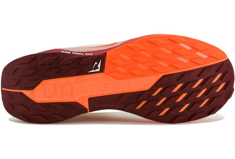 Nike Pegasus Trail 5 Gore-Tex