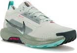 Nike Pegasus Trail 5 Gore-Tex