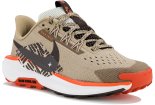 Nike Pegasus Trail 5 Junior