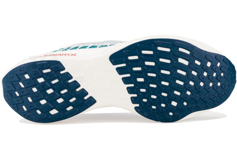 Nike Pegasus Turbo Next Nature