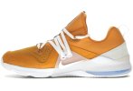 Nike Zoom Train Command LTHR