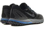 Nike Zoom Wildhorse Gore-Tex