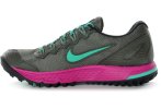 Nike Zoom Wildhorse Gore-Tex