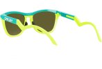 Oakley Frogskins Hybrid Prizm