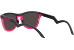 Oakley Frogskins Hybrid Prizm