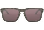 Oakley Holbrook Prizm Polarized