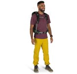 Osprey Talon 22