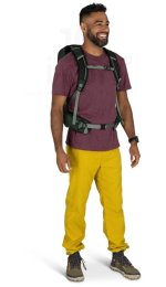 Osprey Talon 22
