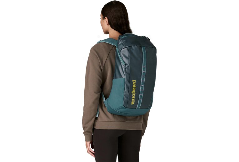 Patagonia Black Hole Pack 25L