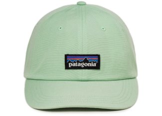 Patagonia P-6 Label Trad