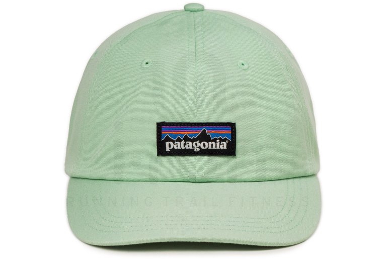 Patagonia P-6 Label Trad