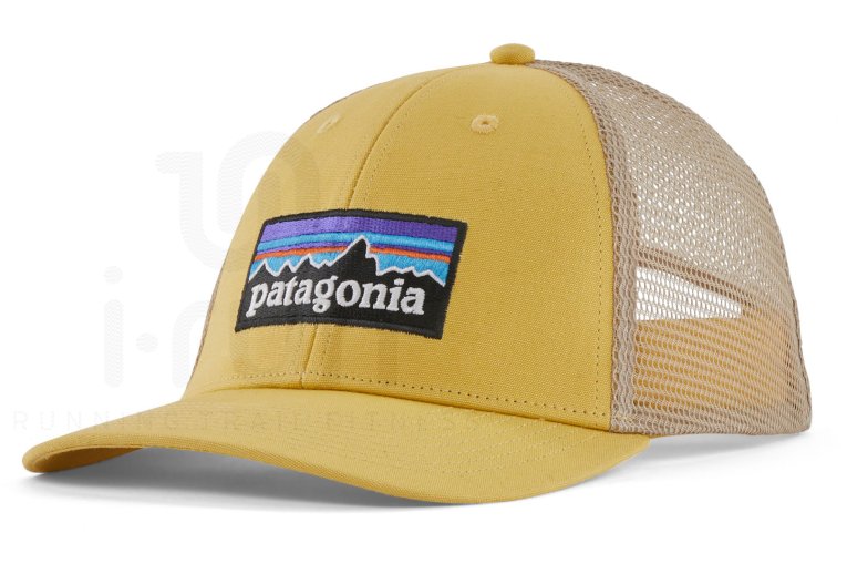 Patagonia P-6 Logo LoPro Trucker