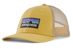 Patagonia P-6 Logo LoPro Trucker