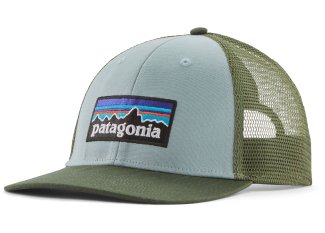 Patagonia P-6 Logo LoPro Trucker