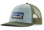 Patagonia P-6 Logo LoPro Trucker