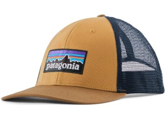 Patagonia P-6 Logo LoPro Trucker