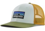 Patagonia P-6 Logo Trucker