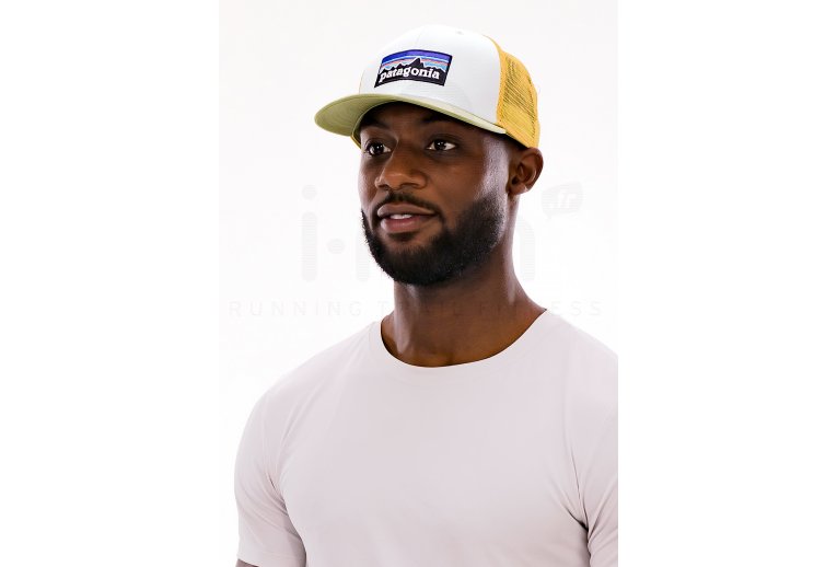 Patagonia P-6 Logo Trucker