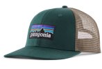 Patagonia P-6 Logo Trucker
