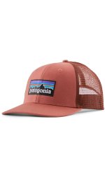 Patagonia P-6 Logo Trucker