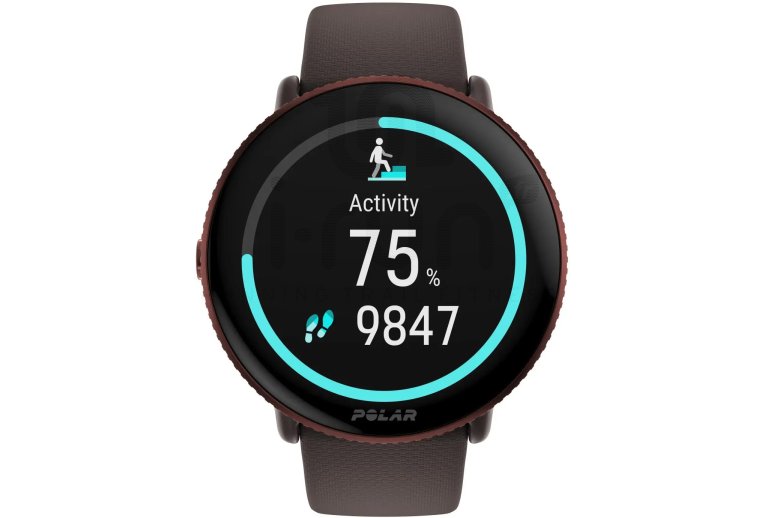 Polar Ignite 3