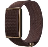 Polar Loop