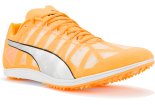 Puma evoSPEED Distance 10 M