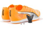 Puma evoSPEED Distance 10 Herren
