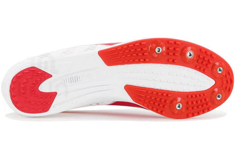 Puma evoSPEED Distance 11