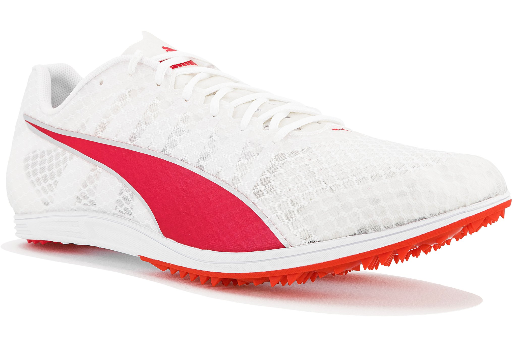 Puma evoSPEED Distance 11 W